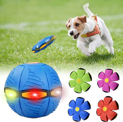 Pet Universe UK™ Dog Frisbee