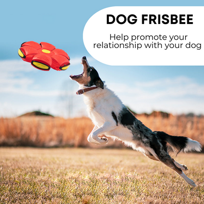 Pet Universe UK™ Dog Frisbee
