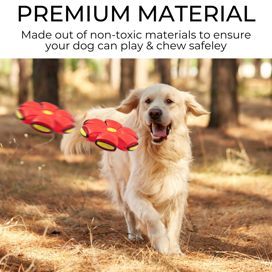Pet Universe UK™ Dog Frisbee